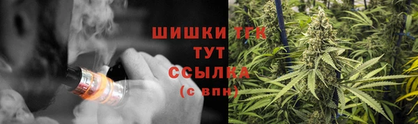 СК Горняк