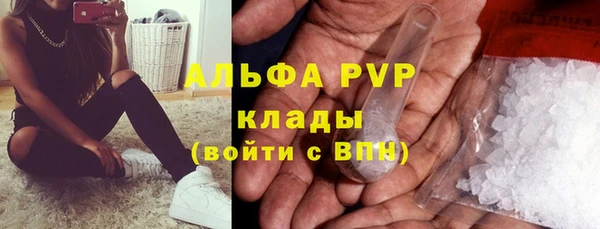 СК Горняк
