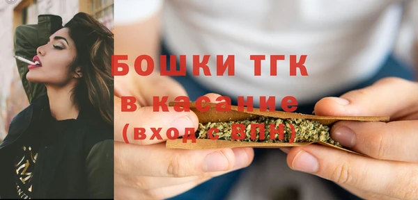 СК Горняк