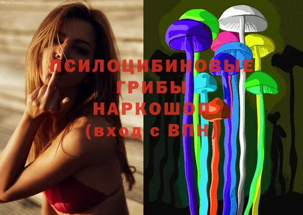 СК Горняк