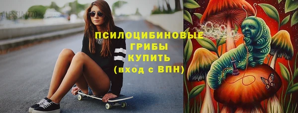 СК Горняк